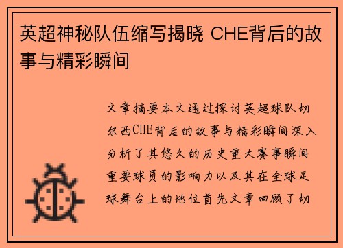 英超神秘队伍缩写揭晓 CHE背后的故事与精彩瞬间